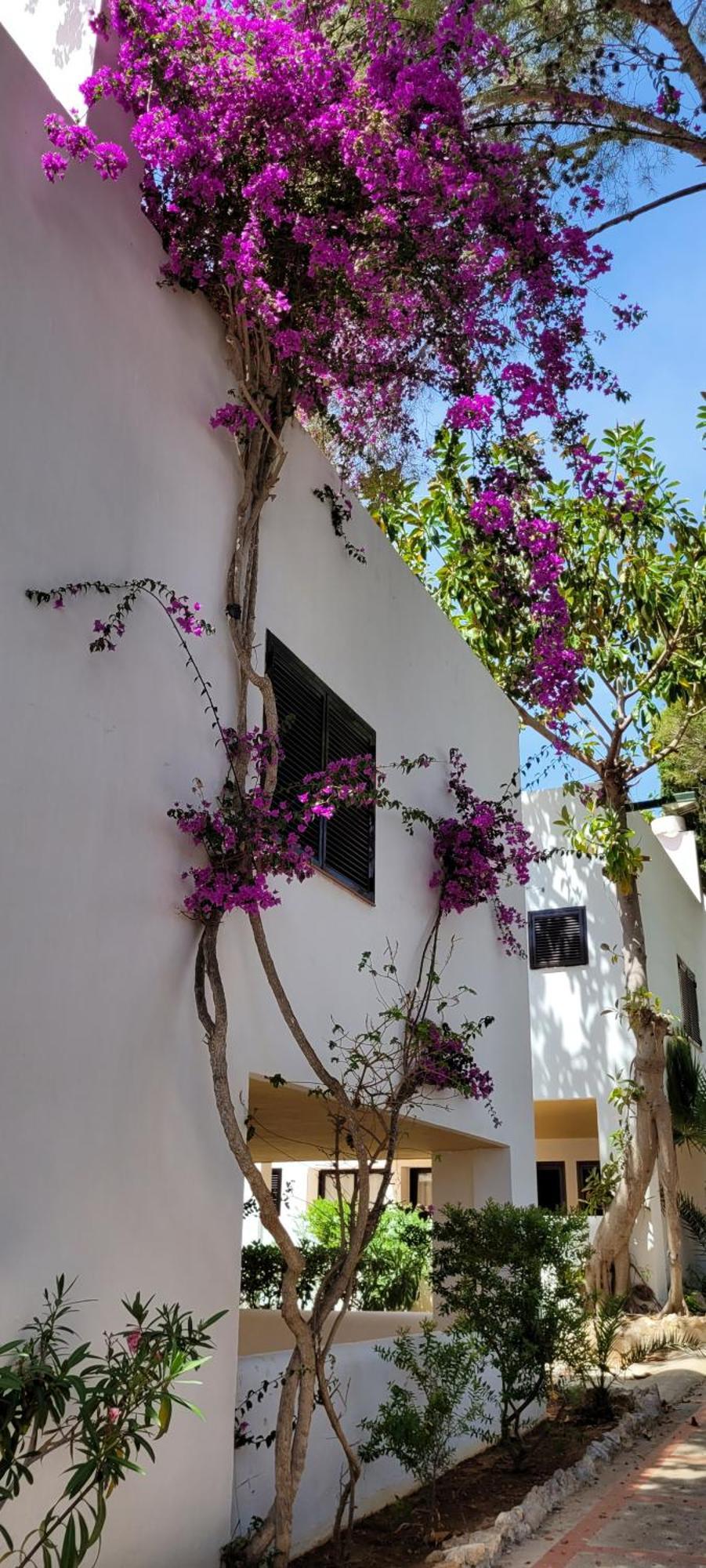 Club Cala Azul Hotel Cala Llenya  Bagian luar foto